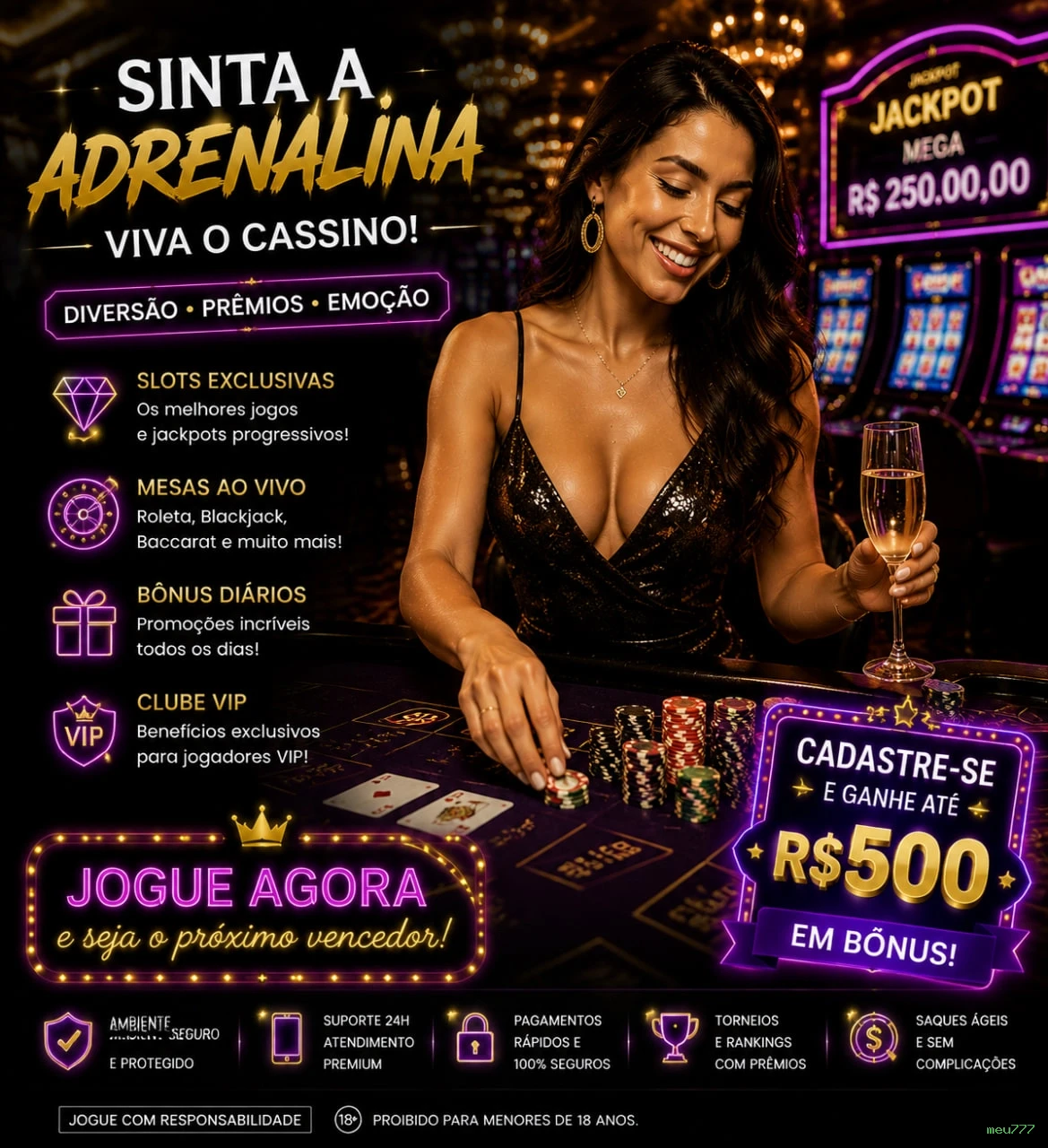 Termos de Serviço meu777